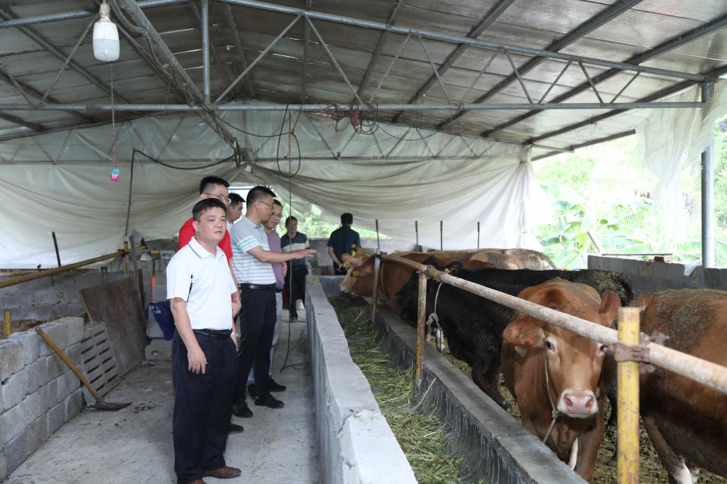 必赢3003no1线路检测中心