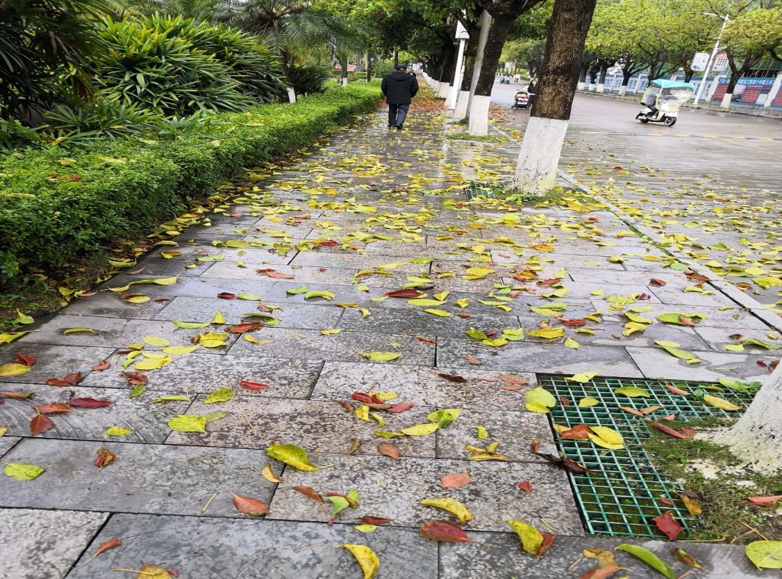 必赢3003no1线路检测中心