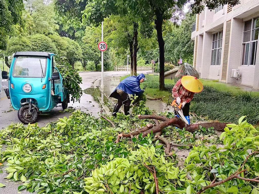 必赢3003no1线路检测中心
